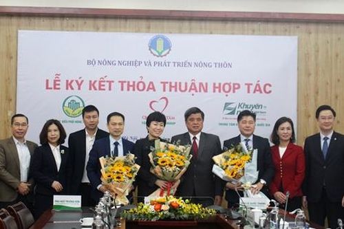 Phát triển nhiều mô hình nông nghiệp trong xây dựng nông thôn mới