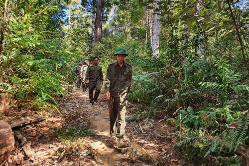 Kon Tum: 8/10 huyện, thành phố cảnh báo nguy cơ cháy rừng cấp V