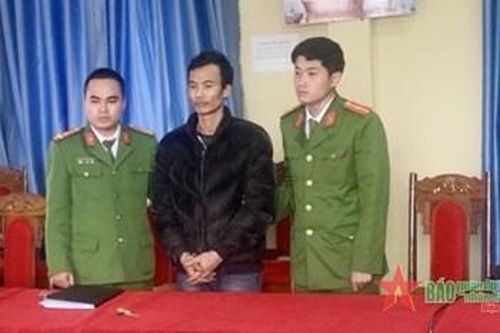 Lai Châu: Khởi tố vụ án vi phạm quy định về khai thác, bảo vệ rừng và lâm sản