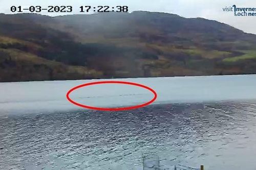 Tuyên bố chấn động: 'Quái vật hồ Loch Ness là 2 sinh vật riêng lẻ'?