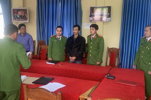 Hai đối tượng ở Lai Châu bị bắt giữ vì thu gom gỗ trái phép