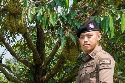 Thái Lan: Cảnh sát triển khai lực lượng bảo vệ sầu riêng chín cây