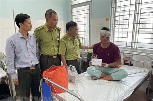 Vụ kiểm lâm bị tấn công ở Đồng Nai: Xử lý dứt điểm tình trạng phá rừng