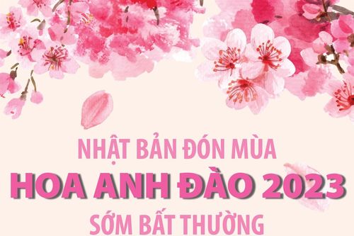 Nhật Bản đón mùa hoa anh đào 2023 sớm bất thường