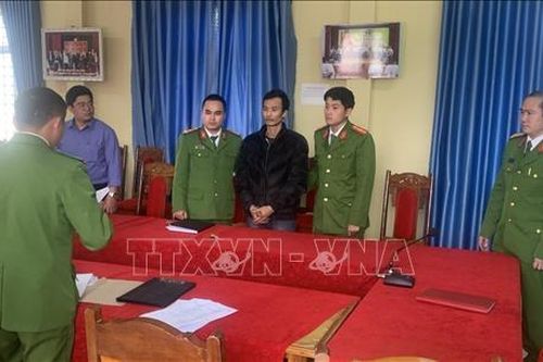Lai Châu: Khởi tố, bắt tạm giam đối tượng vi phạm quy định về khai thác, bảo vệ rừng