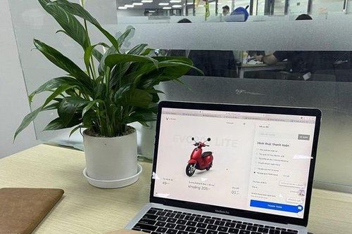 Tất tần tật về quy trình 'mua trước trả sau' xe máy điện VinFast