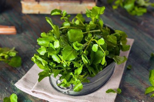 Lợi ích tuyệt vời của rau xà lách xoong đối với sức khỏe của trẻ nhỏ