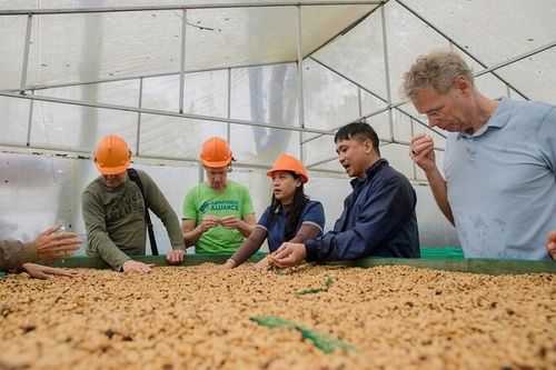 Khởi động cuộc thi cà phê đặc sản Việt Nam 2023