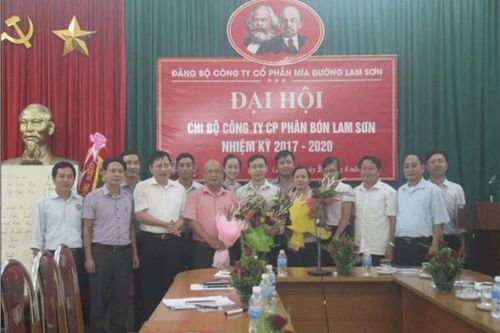 Phân bón Lam Sơn đồng hành cùng nông nghiệp Việt Nam