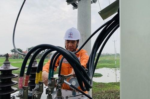 Báo động nạn trộm cắp dây cáp điện và thiết bị điện lực