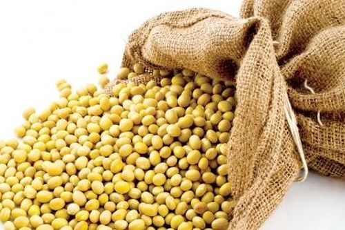 Đề xuất giảm thuế nhập khẩu khô đậu tương từ 2% xuống 0%