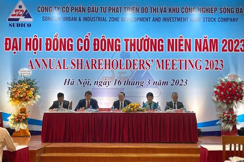 Sudico đặt mục tiêu doanh thu 1.145 tỷ đồng trong năm 2023