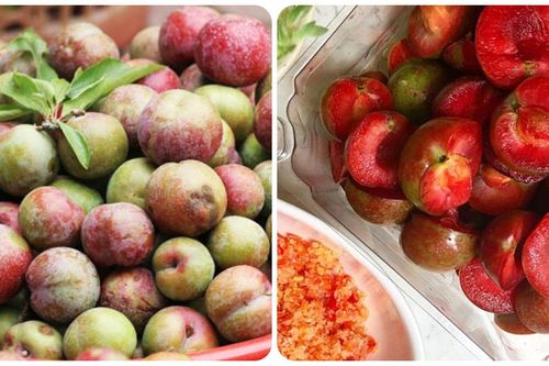 Những người không nên ăn mận