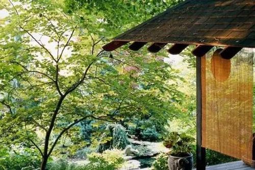 Biến sân vườn thành một ốc đảo thư giãn