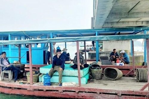 Quảng Ninh: Bắt Chủ tịch phường liên quan vụ 'bảo kê' nuôi trồng thủy sản trái phép