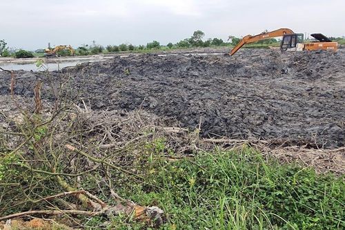 Kiểm điểm tập thể, cá nhân vụ san ủi rừng ngập mặn ở Huế