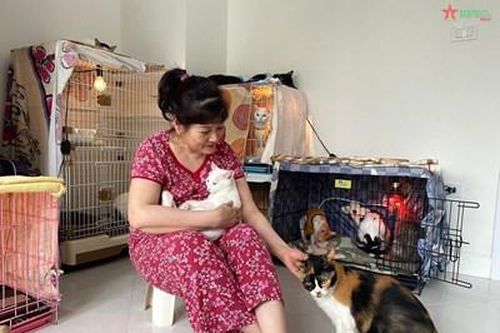 Mái ấm của những chú mèo bị bỏ rơi