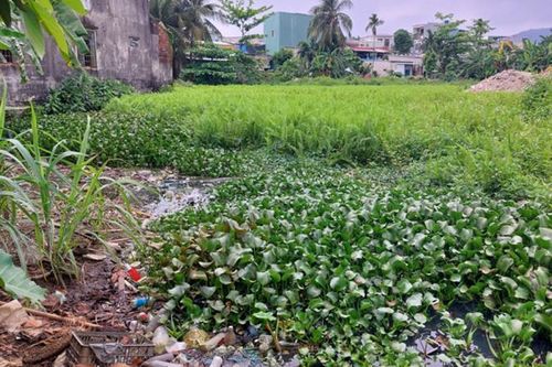 Sống chung với ô nhiễm!