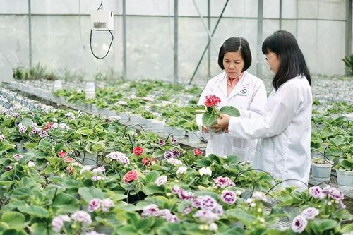 Để nền công nghiệp sinh học vươn tầm - Bài 1: Ươm mầm xanh, gieo sự sống