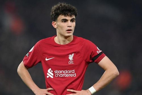 Liverpool mất sao trẻ đến hết mùa giải
