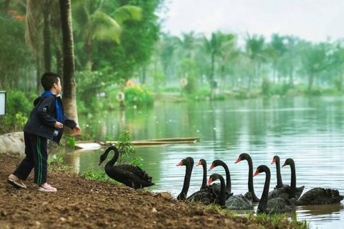 Vùng đất của những đứa trẻ hạnh phúc