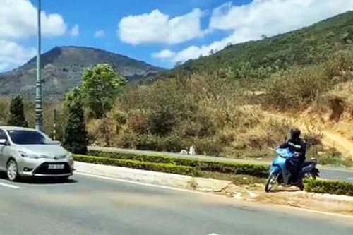 Đề xuất làm đường dân sinh ven cao tốc Liên Khương - Prenn
