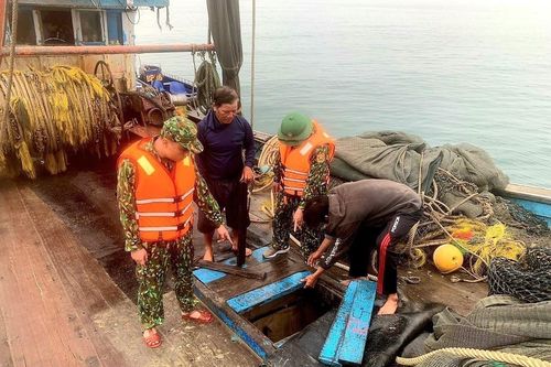Quảng Ninh: Bắt giữ 4 tàu cá vi phạm trong khai thác hải sản
