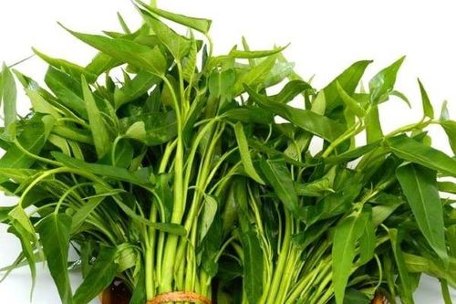 Những điều cấm kỵ khi ăn rau muống, cần tránh xa