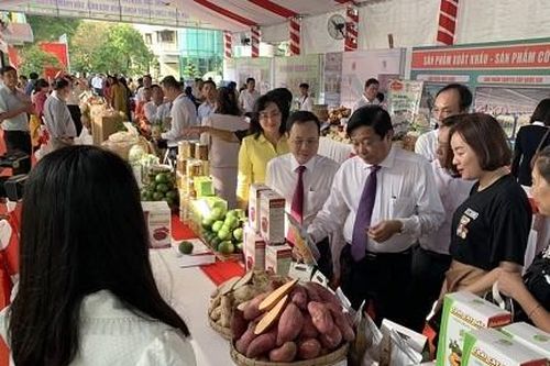 Nhiều chương trình, dự án được ký kết giữa TP Hồ Chí Minh và vùng ĐBSCL đến năm 2025
