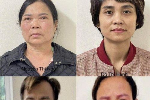 Khởi tố 4 bị can trong vụ nâng giá cây xanh ở Hà Nội