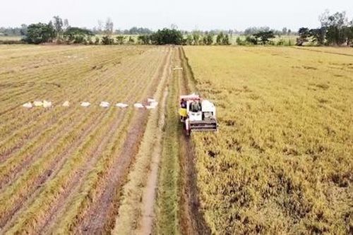 Thoại Sơn trên đường về đích nông thôn mới nâng cao