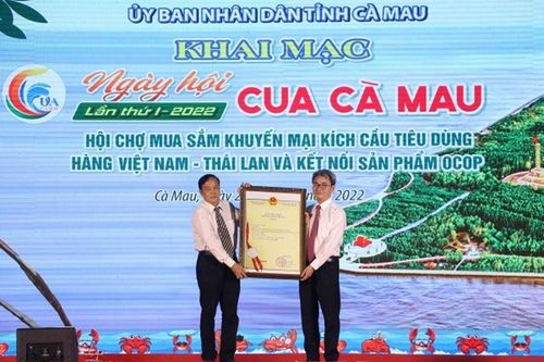 Quảng bá du lịch Cà Mau bằng Festival tôm, Ngày hội khinh khí cầu