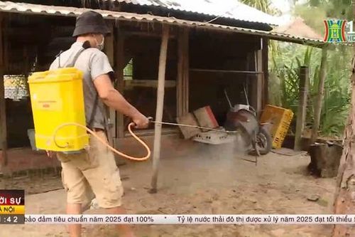 Phòng chống dịch cúm từ gia cầm lây sang người