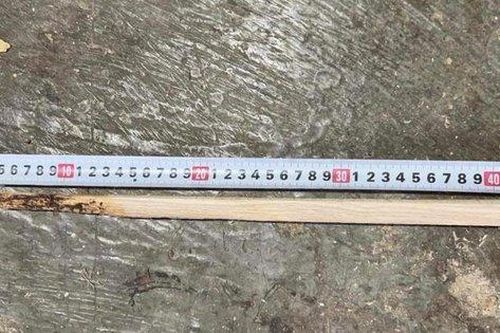 Thanh gỗ đâm thấu bụng anh thợ mộc