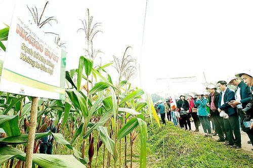 Để nền công nghiệp sinh học vươn tầm - Bài 2: Nhận diện các điểm nghẽn