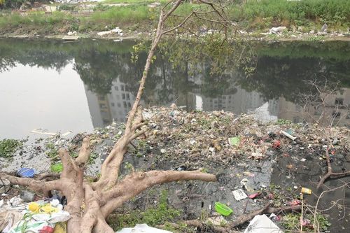 Thúc đẩy hành động bảo vệ các dòng sông ô nhiễm