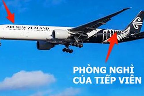 'Đột nhập' phòng ngủ bí mật của phi công và tiếp viên trên máy bay