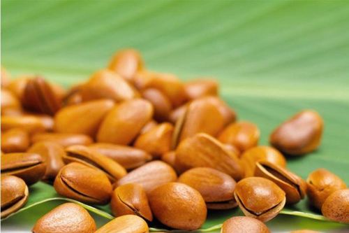 10 công dụng bất ngờ của hạt thông đối với sức khỏe