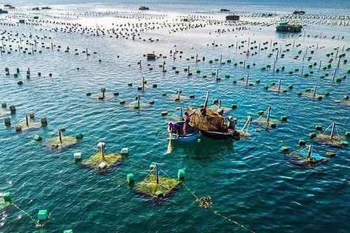 Sản lượng nuôi trồng thủy sản tăng cao tại nhiều địa phương