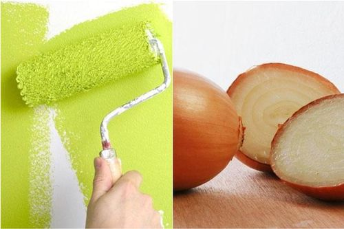 Thứ củ quen thuộc không ngờ lại giúp làm sạch đồ dùng, đuổi côn trùng hiệu quả