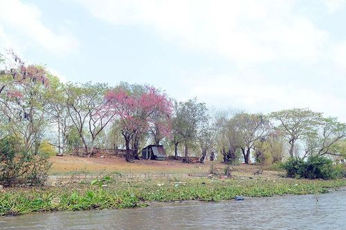 Sắc màu ô môi!