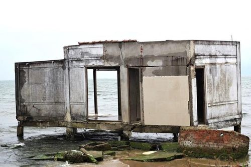 Hàng cây số bờ biển Quảng Nam bị biển xâm thực mạnh