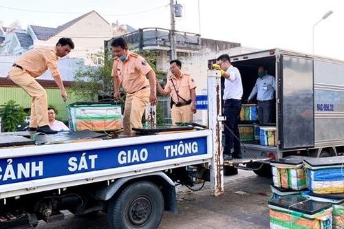 600 kg tôm được bơm tạp chất 'phù phép' tươi to, căng mẩy