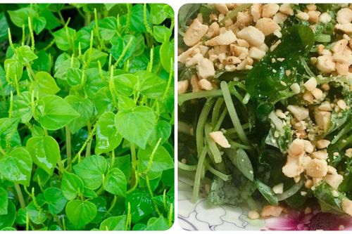 Tác dụng của rau càng cua với sức khỏe