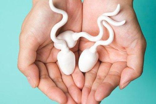 Số lượng tinh trùng có quyết định đến khả năng sinh con của cặp đôi?