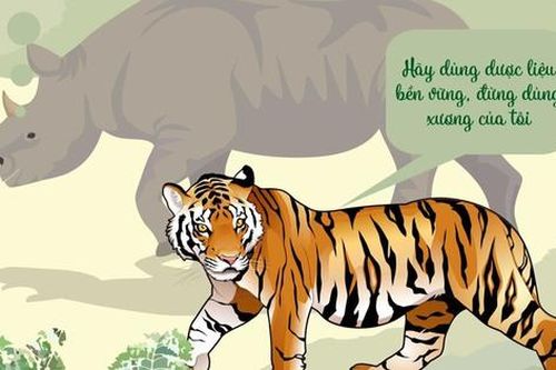Triển lãm nguồn tài nguyên dược liệu và mô hình vườn cây thuốc