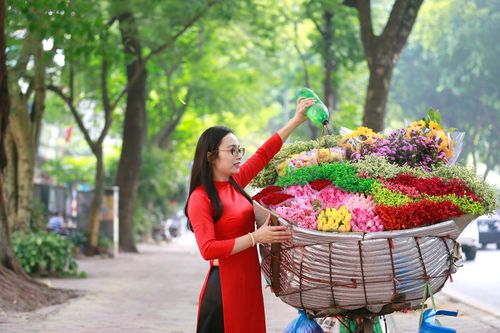 Phố tôi đẹp nhất Hà thành