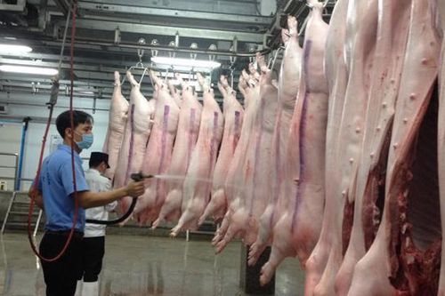 Khó thu hút các hộ giết mổ nhỏ lẻ vào khu giết mổ tập trung