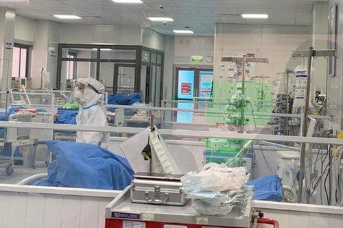 Đề nghị các địa phương bố trí kinh phí phòng chống bệnh truyền nhiễm