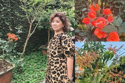 Khu vườn ngập sắc hương trong biệt thự 1.000m2 của NSND Thanh Hoa